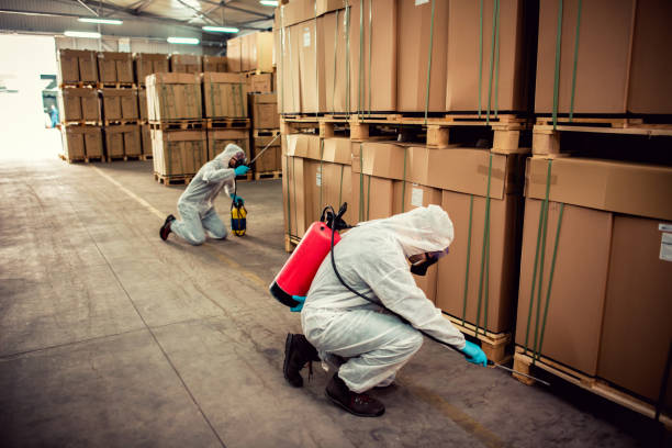  Whitefish, MT Pest Control Pros