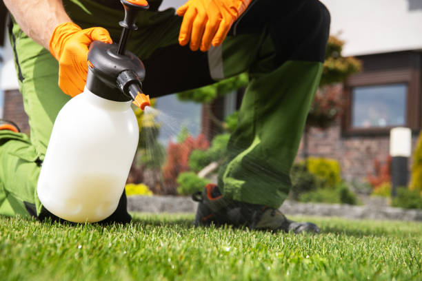 Best Termite Control Services  in Whitefish, MT