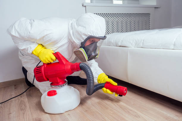 Best Affordable Pest Control Services  in Whitefish, MT