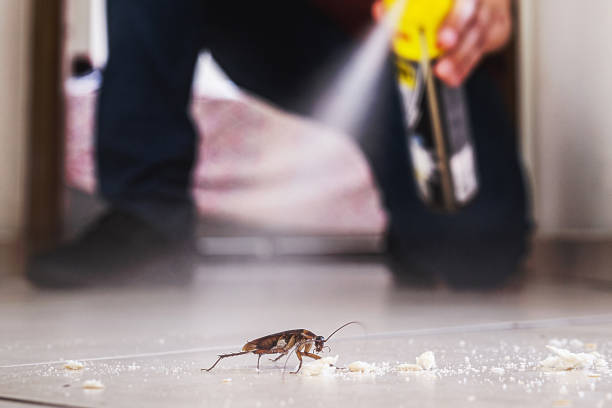 Best Mosquito Control Services  in Whitefish, MT